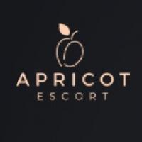 Apricot Escort Cologne